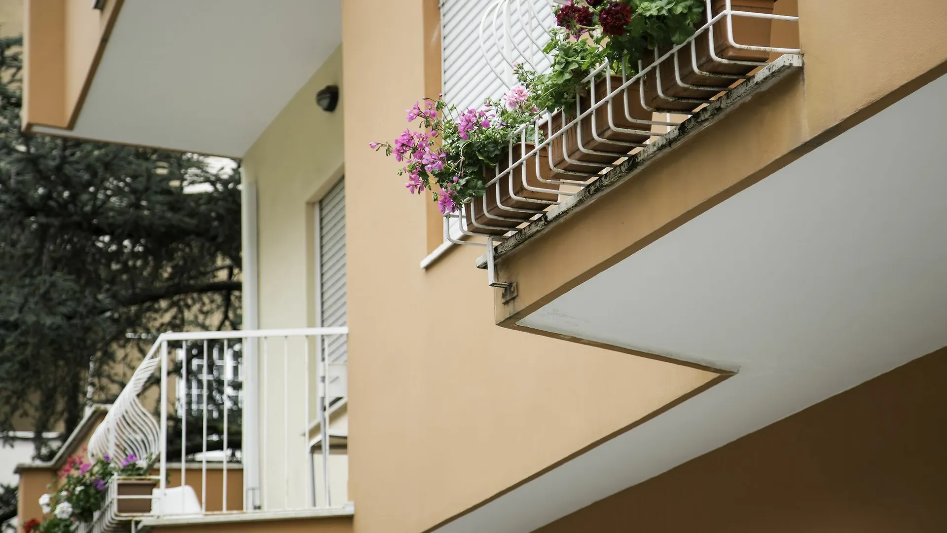 Bed and breakfast Roma Talenti Breme B&B